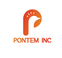 Pontem INC